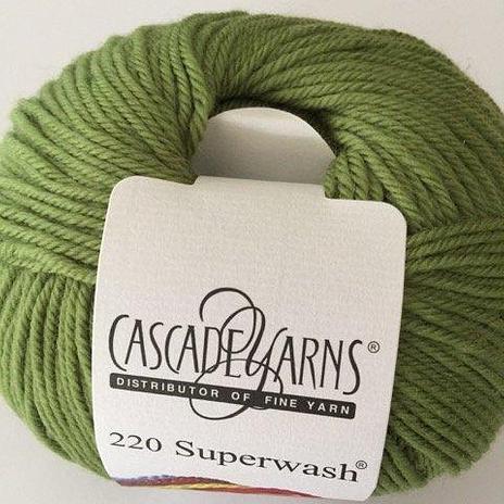220 Superwash - 841 Moss