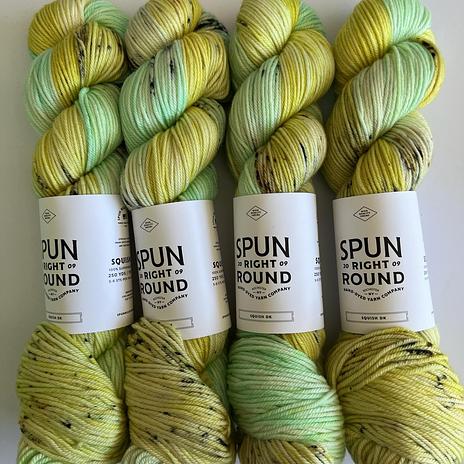 Spun Right Round Squish DK - Sprout